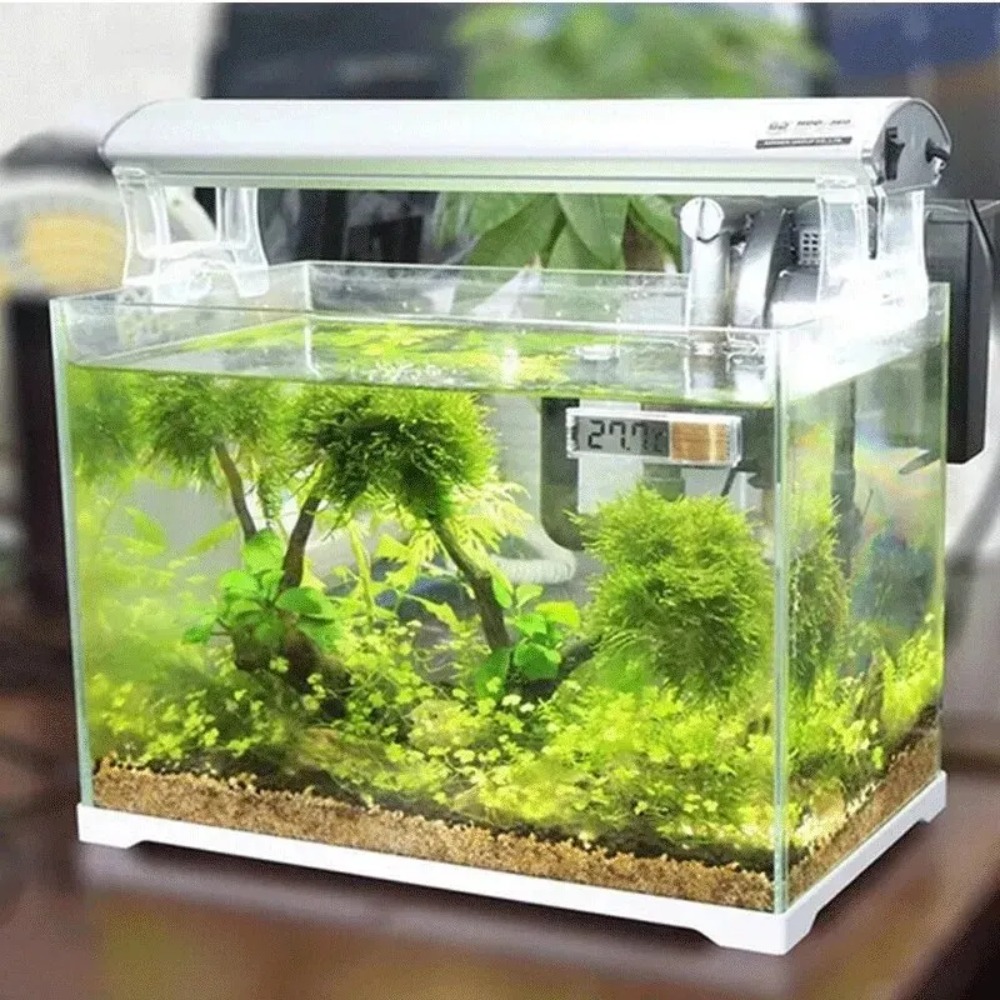 Termometr akwariowy elektronic – Marine Aquarium Heater recenzja i cena