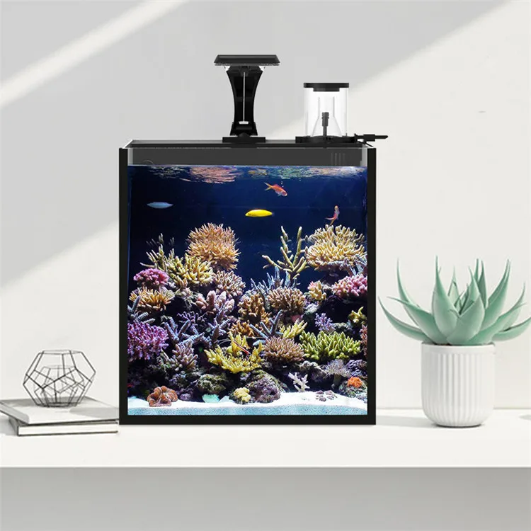 Najnowszy model akwarium morsk – Aquarium Marine Salt recenzja i cena