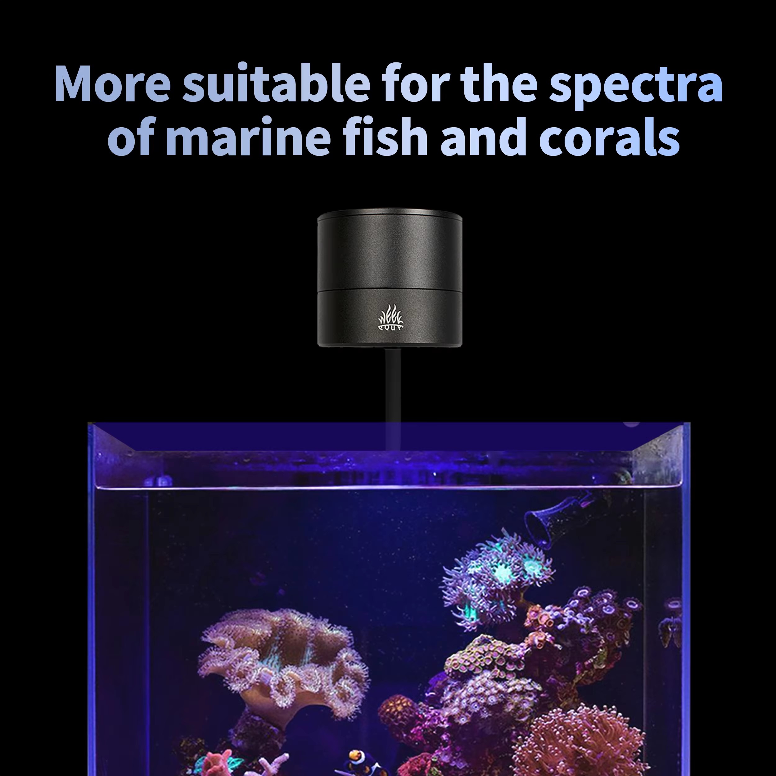 WEEK AQUA Producenty oświetlen – Aquarium Marine Salt recenzja i cena