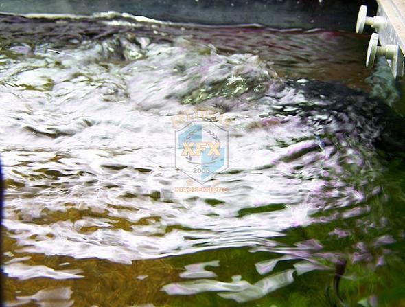 Pompa falująca Sunsun JVP-200, – Aquarium Marine Salt recenzja i cena