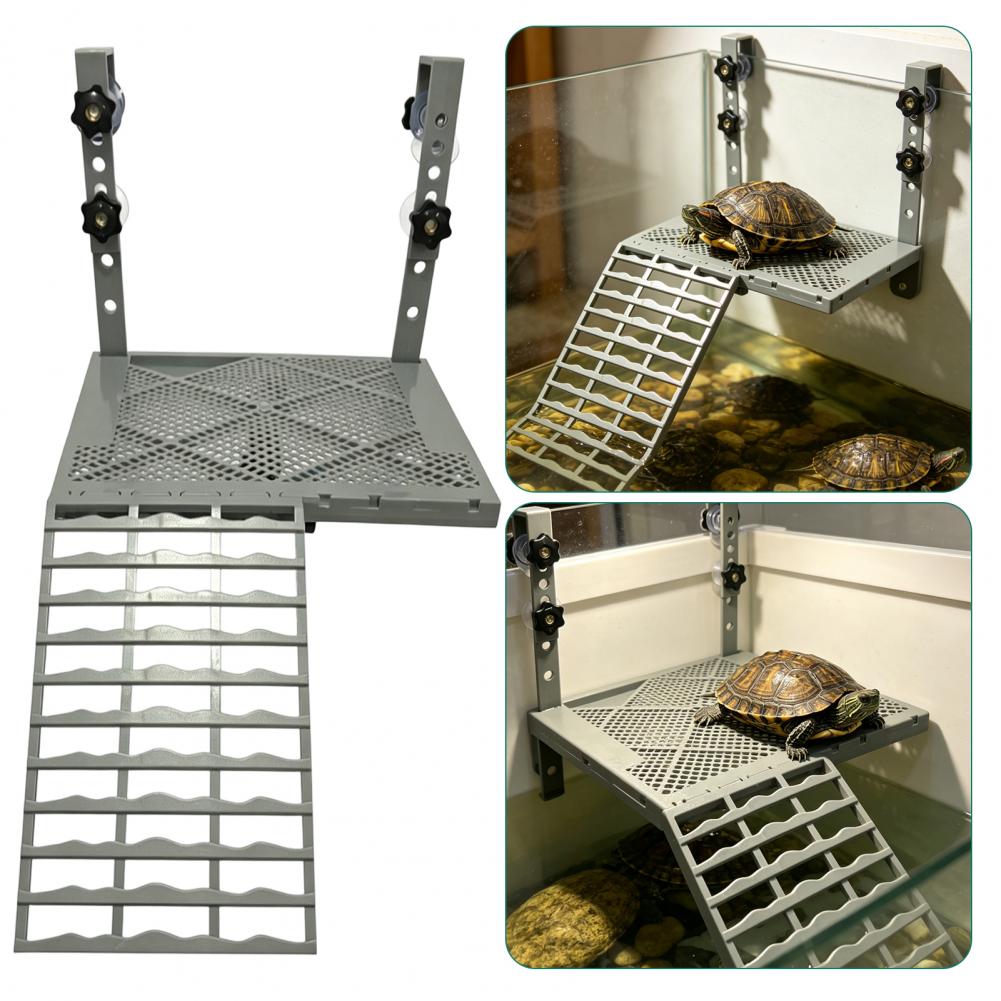 Dekoracja akwarium, solidna wi – Aquarium Marine Fish recenzja i cena